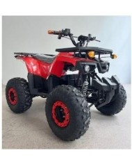 Quad adulte modèle EA01