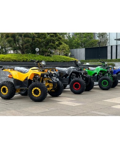 Quad adulte modèle EA01 jaune, noir, vert