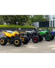 Quad adulte modèle EA01 jaune, noir, vert