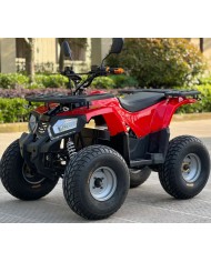 Quad adulte modèle EA04