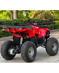 Quad adulte modèle EA04 arrière