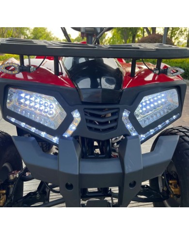 Quad adulte modèle EA04 avant