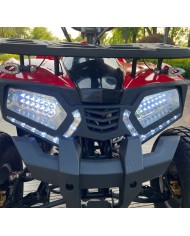 Quad adulte modèle EA04 avant