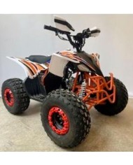 Quad adulte modèle EA06