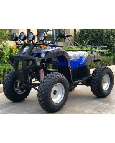 Quad adulte modèle EA07