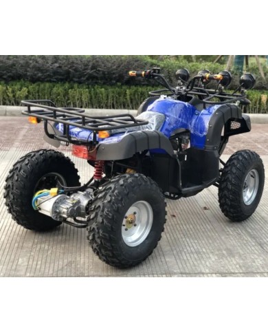 Quad adulte modèle EA07 arrière