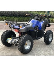 Quad adulte modèle EA07 arrière