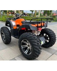 Quad adulte modèle EA08 arrière