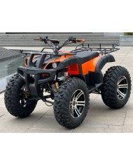 Quad adulte modèle EA08 devant