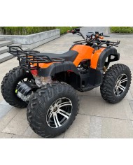 Quad adulte modèle EA08 côté