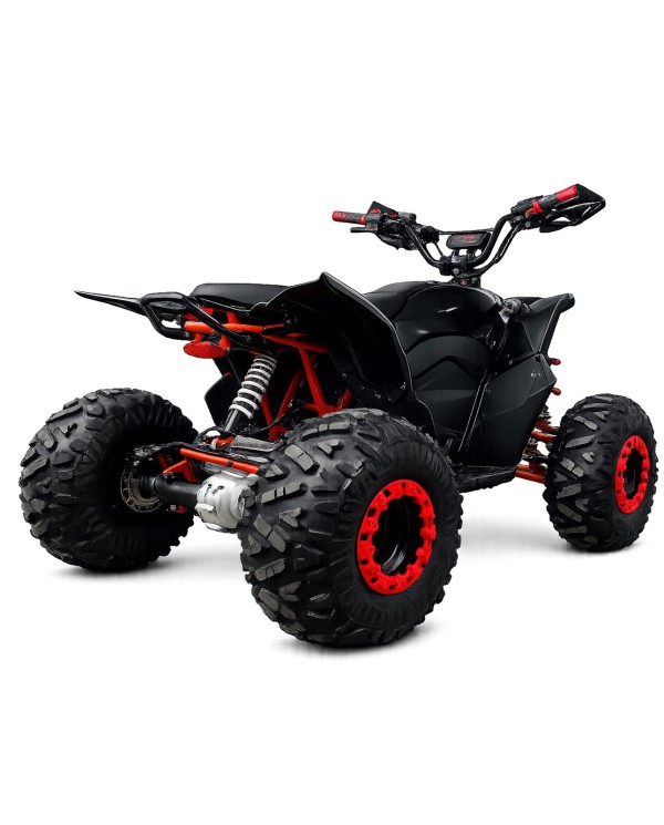 Quad adulte modèle EA02 arrière