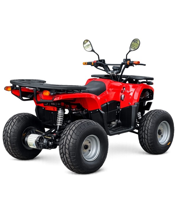 Quad adulte modèle EA04 arrière