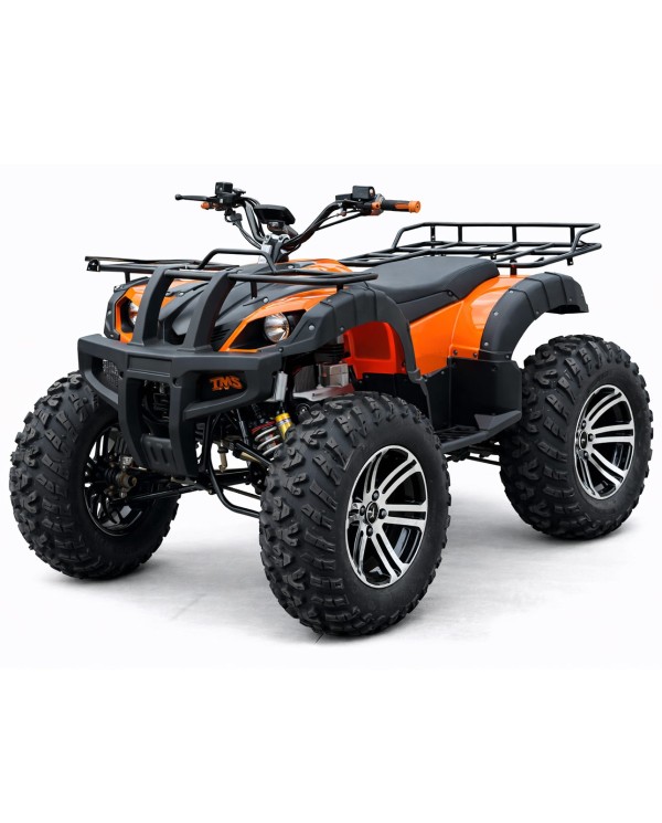 Quad adulte modèle EA08 avant