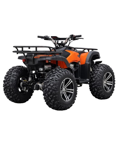 Quad adulte modèle EA08 avant