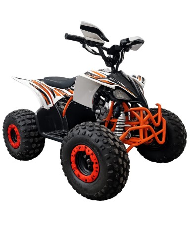 Quad adulte modèle EA06